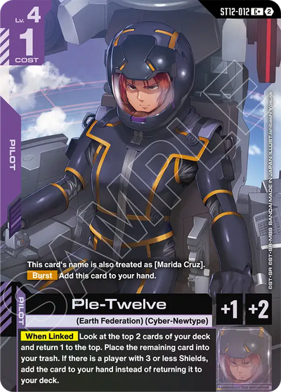 #012 Ple-Twelve
